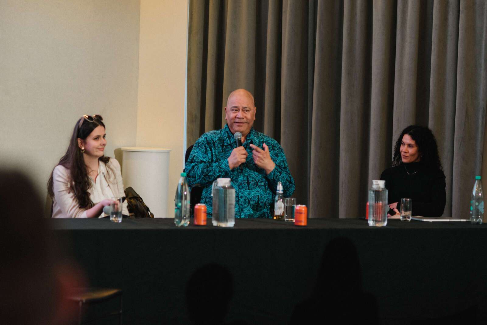 Panel group, including hope a young woman; Pati, a Pacific disabled person, and Bo, who works for special